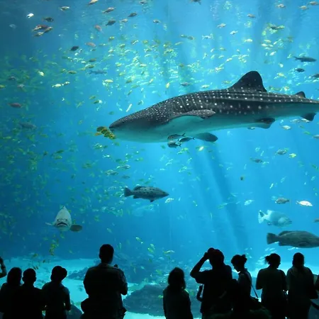 بيت للعطل La Maison Boulonnaise